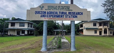 DA–MIMAROPA at Wadhwani Foundation, Lumagda sa MOU para sa Pinalakas na Suporta sa Young Farmers Challenge Program