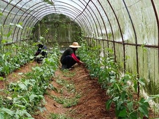 SAAD MIMAROPA at piling kinatawan mula sa LGUs, muling sinanay sa Livestock at Poultry Production and Management